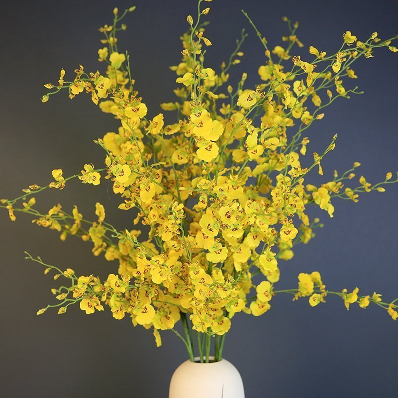 ��˹���ŷʽ��ʽ���������滨��