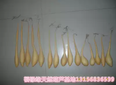 Natural growth mallet gourd Painting small fish 20-30 cm natural gourd