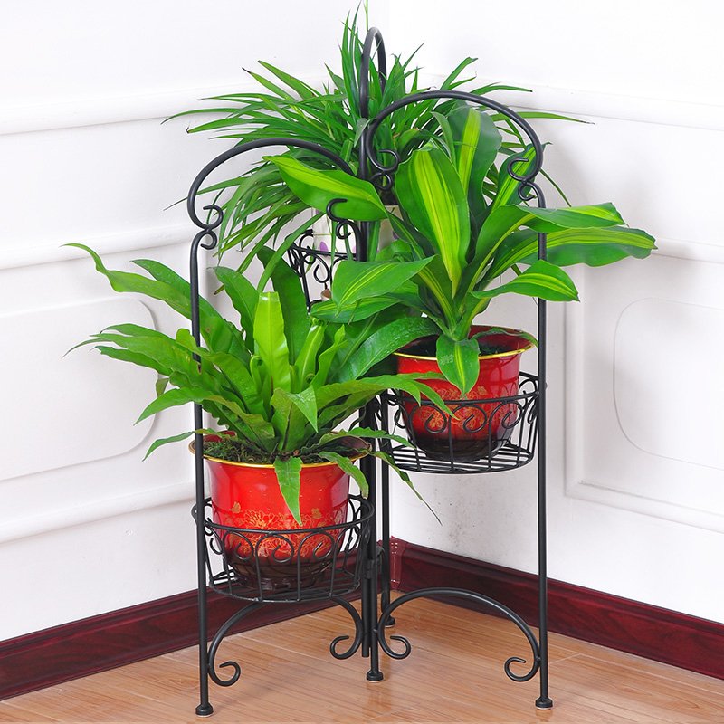 �����������ʽ����XY1019