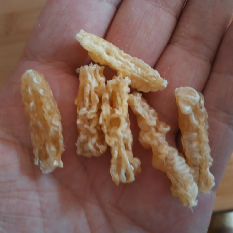 Xiyuan snow clam Changbai mountain forest frog oil toad oil snow clam oil snow ha broken line oil 1g