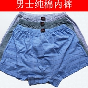 Quần lót nam cotton boxer trung niên để tăng mỡ bốn góc quần thấm mồ hôi cũ