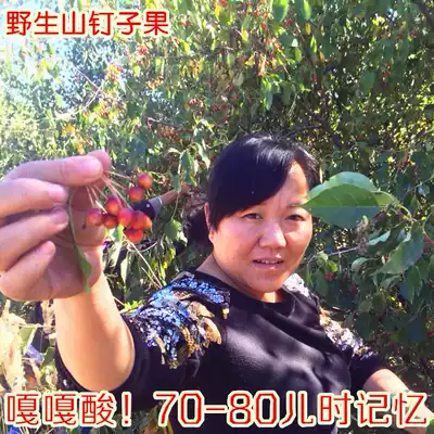 Pregnant women must eat the newly picked Daxinganling wild mountain Dingzi fruit dry 500g red fruit raw I sweet and sour 2 pieces