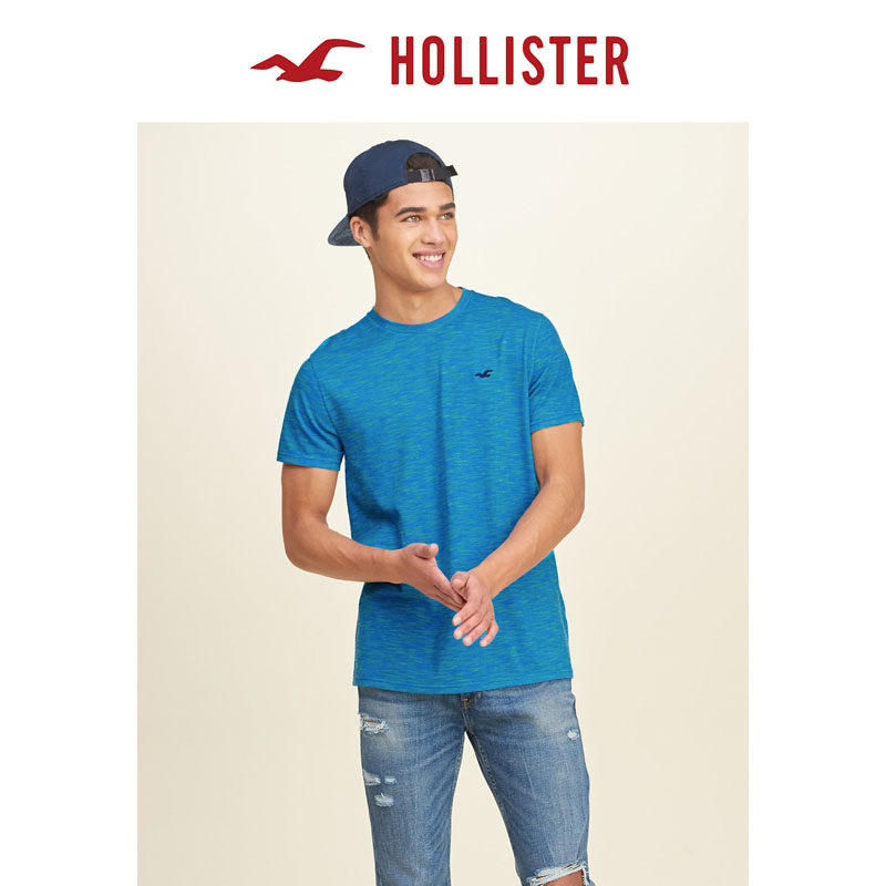 Hollister 必备圆领 T 恤 男 125502