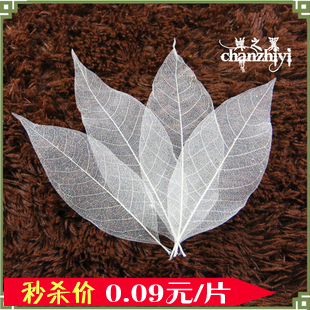 Natural Leaves Specimen Jade Lanet Vein Leaves Bookmark Diy Material Bag Handmade Homemade Leaf Vein Dry Flower Props-Taobao