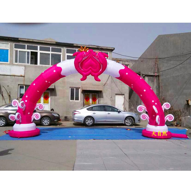 New Wedding Inflatable Arch 8 m 10 m Dolphins Romance Inflatable Arches Iridescent Doors Wedding Props