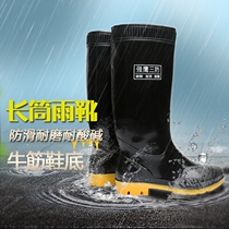 Wear-resistant rain boots Mens water shoes Rain boots Water boots non-slip waterproof high tube middle tube fishing plastic galoshes Labor insurance rubber shoes