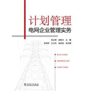 正版 计划管理——电网企业管理实务