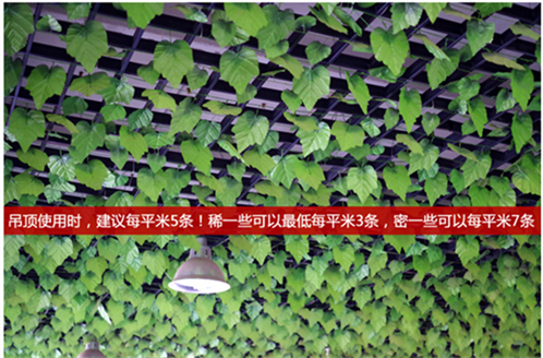 吊顶装饰塑料铝格珊吊顶葡萄架天花网格方格栏棚花藤射灯