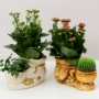 Bình gốm hoa cao cấp bình hoa cá tính sáng tạo Xiêm đôi thùng retro đôi miệng trong nhà chậu cây cảnh chậu cây - Vase / Bồn hoa & Kệ chậu ghép thông minh