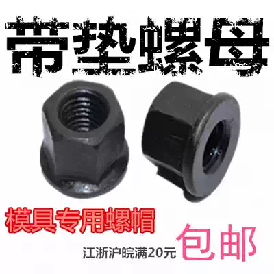 Mould special with pad nut flange nut with T-screw M10M12M14M16M18M20M22M24