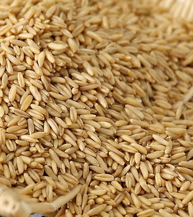 Oat rice Oat kernel wheat barley naked oats naked oats