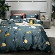 60 long staple cotton simple style hipster four-piece cotton tribute satin cartoon bedding 1 8 sheets quilt cover