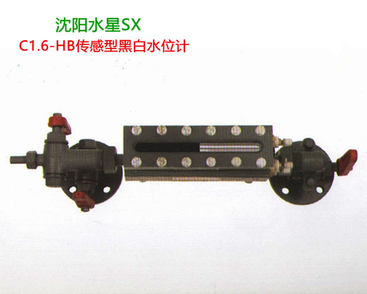 (1)Shenyang Mercury boiler special sensing type black and white water level meter C1 6-HB-350