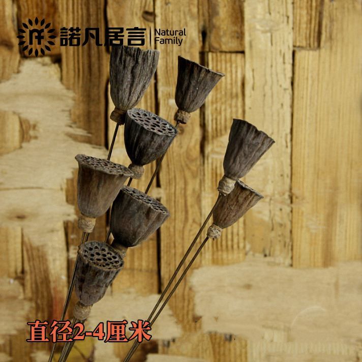 ŵ������С������