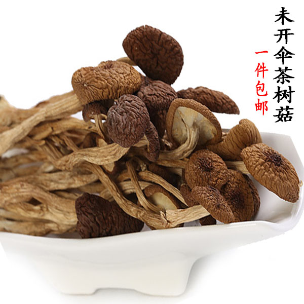 Fujian Gutian Farmhouse Tea Tree Mushrooms Dry Goods Unopened Umbrella Already Cut Root Special Price Tea Tree Mushrooms Dry Goods 250g