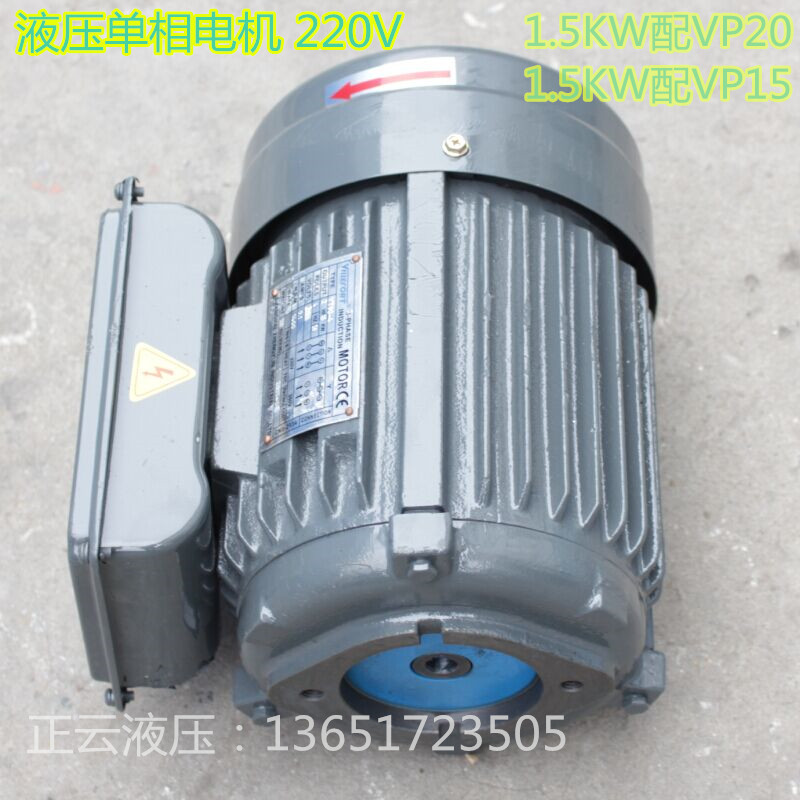 220V hydraulic pressure 0 75 with VP20 inner shaft motor 1 5KW with VP15 single-phase horizontal inner shaft hydraulic motor