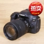Canon Canon EOS 80D 18-135USM kit Máy ảnh kỹ thuật số 80D SLR được cấp phép của Continental - SLR kỹ thuật số chuyên nghiệp máy ảnh fujifilm