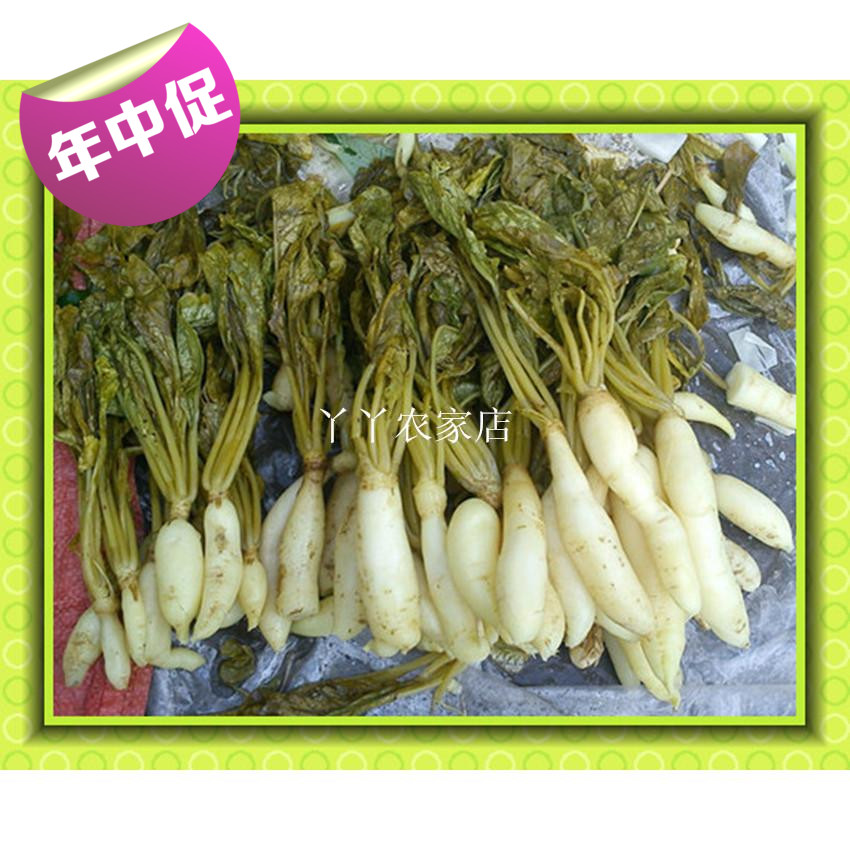 Guangxi Lingshan special production Farmhouse Homemade Rocaron Vegetable pickled cabbage Roof Seedlings Hot water vegetables No Add 500 gr