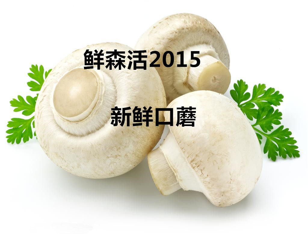 Fresh mushrooms Fresh mouth mushroom white mouth mushroom 500g Beijing - Tianjin - Hebei arbitrary 6 pieces