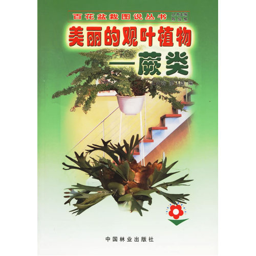 美丽的观叶植物：蕨类——百花盆栽图说丛书/王代容，廖飞雄编/中国林业出版社
