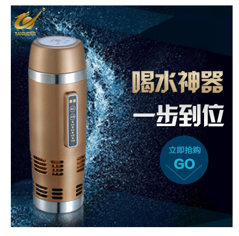 泰澄车载冷热杯不锈钢12V汽车电热杯热水器烧水壶加热水杯子100度