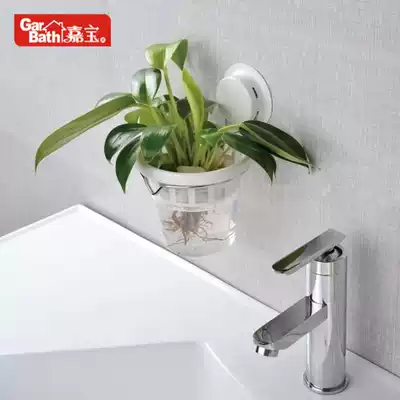Jiabao suction cup hydroponic flower pot Plastic creative wall-mounted office golden ge potted hydroponic chlorophyll plant rack indoor