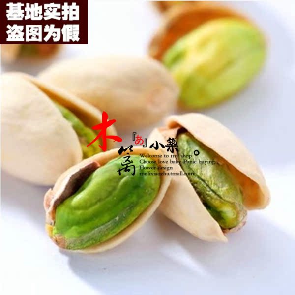 室内外庭院种植 开心果 绿仁开心果 盆栽地栽花苗南北种植苗