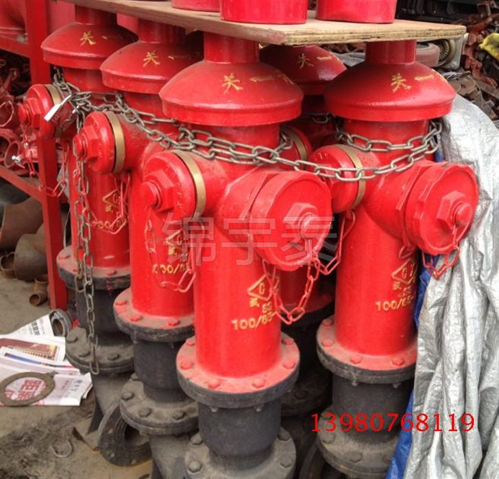 Chengdu Hongshengda Outdoor Ground Fire Hydrant SS100 65-1 6*Chengxin Ground Fire Hydrant*Fire Hydrant