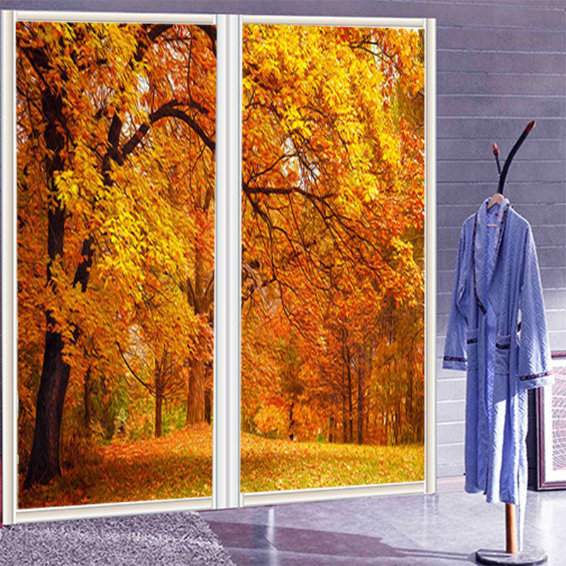 MS������Ĥ��͸�����������ַ�Ҷ