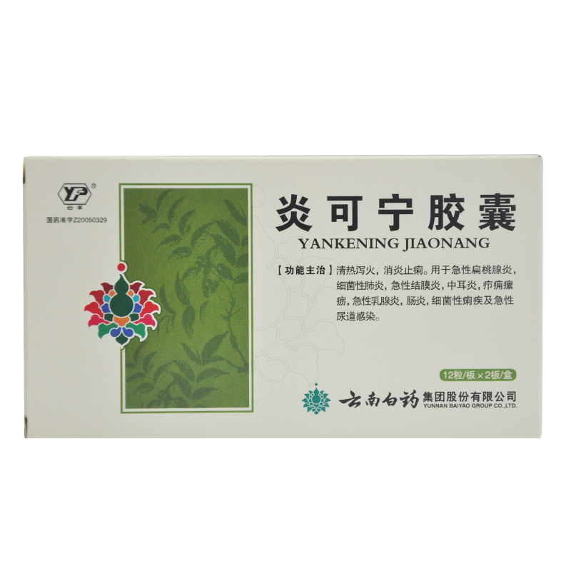 云丰 炎可宁胶囊 0.3g*24粒/盒