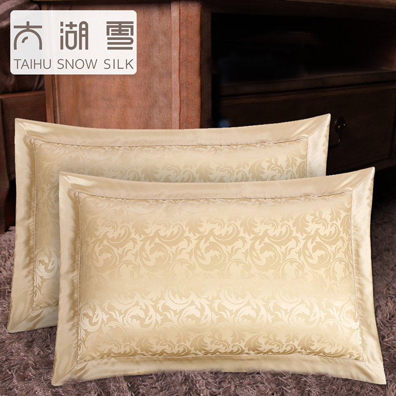 ̫��ѩ������˿����904