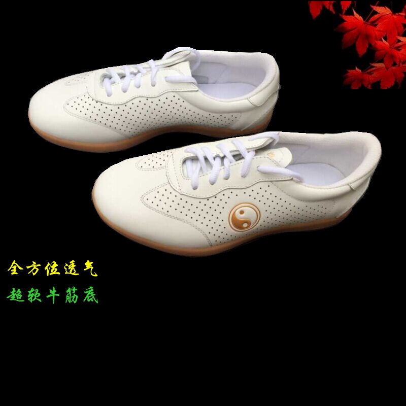 Tai Chi Shoes Soft Cowhide Tendon Bottom Breathable Mesh Shoes Practice Shoes Martial Arts Shoes