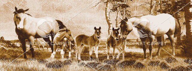 Mongolian famous brand Erdente pure wool encrypted villa with background wall