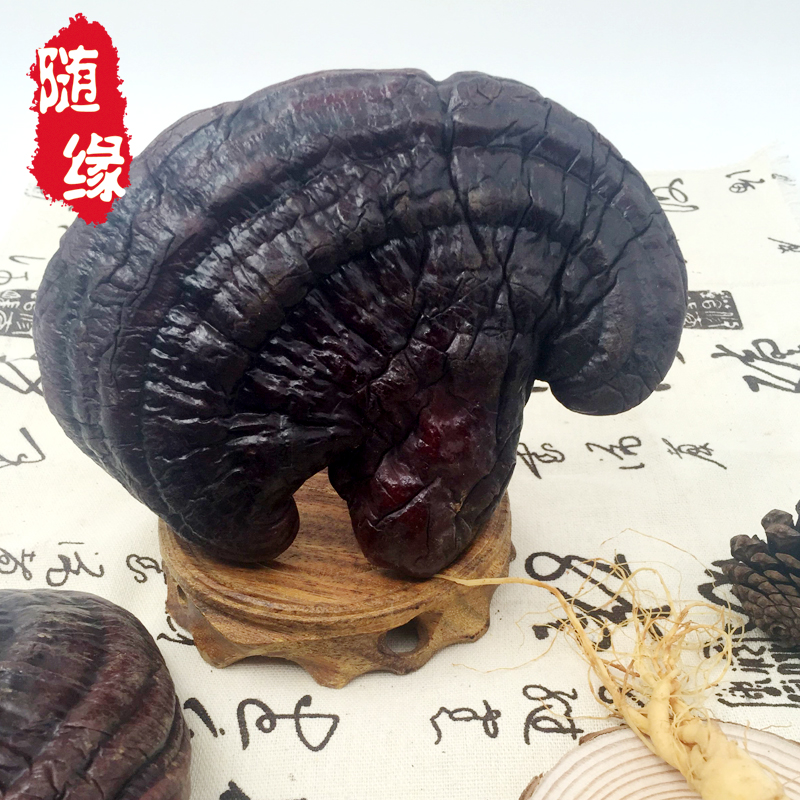 (Daily Special Price) Changbai Mountain Lucid Lucid the whole Purple Lucid 50g special price to shoot two hair three