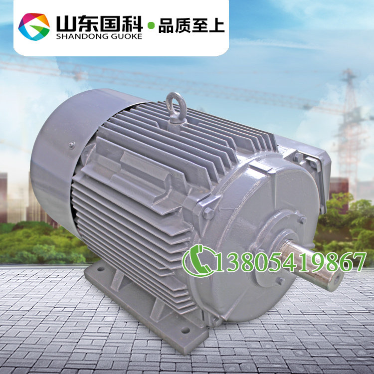 Manufacturer Direct YZTD200L3 15 15 4 tower Crane Motor Tower Crane Lift Motor