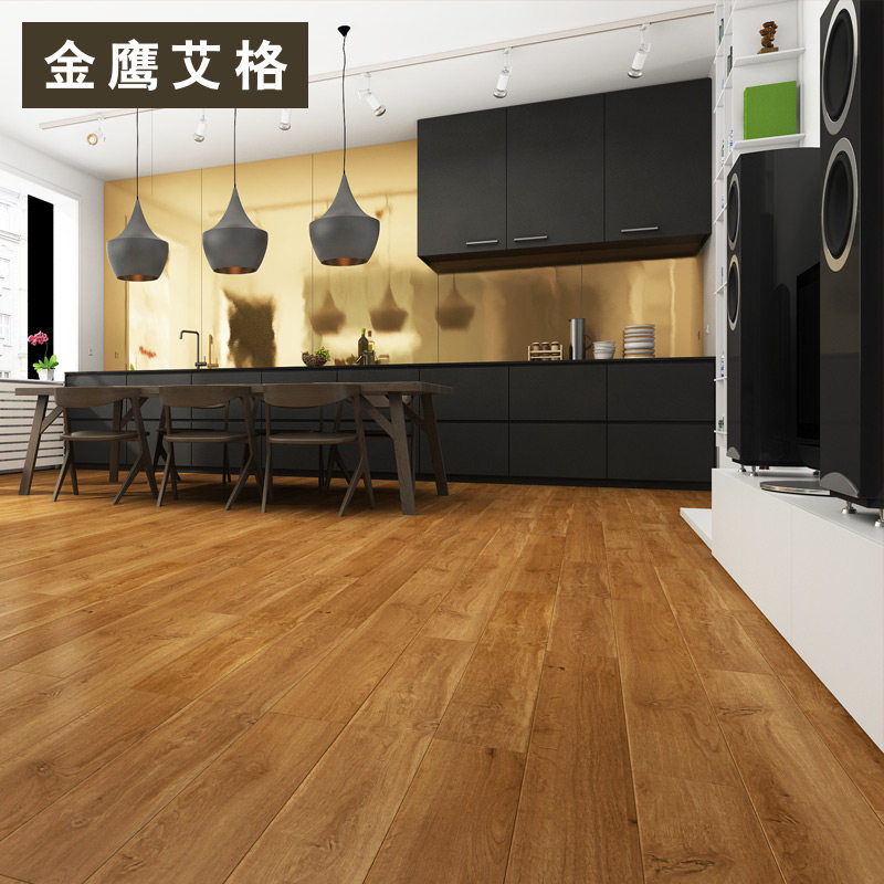 ��ӥ����ǿ�����ϵذ� DQ1602