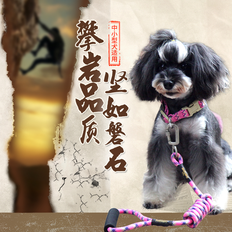 Dog Helios 狗狗牵引绳 项圈中小型犬狗链子泰迪狗绳狗带
