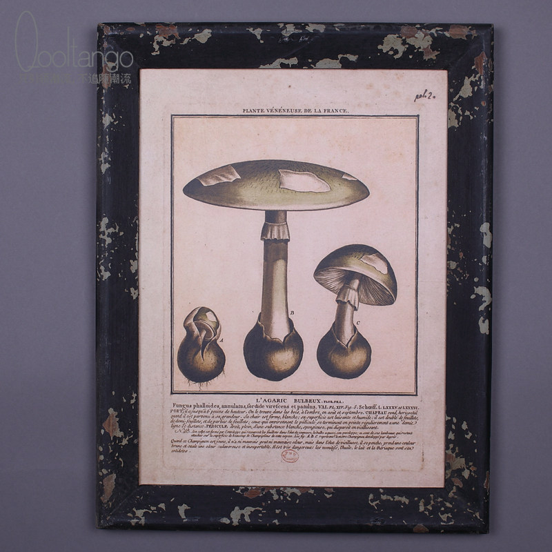 ��̹��Ģ��װ�λ��һ����A49133993