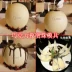 Chocolate Night Pearl Mold White Lovers Hemisphere Balloon Khuôn sáng tạo Ẩm thực Giang Nam Pearl - Tự làm khuôn nướng khuôn bánh Tự làm khuôn nướng