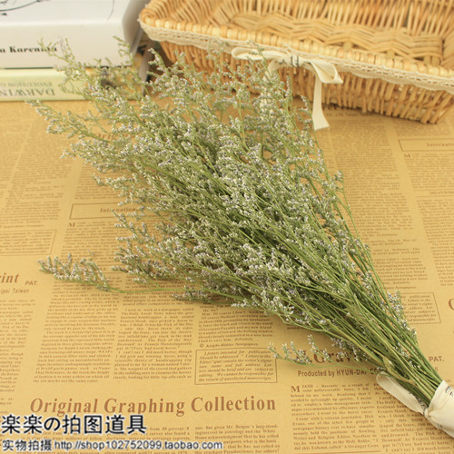 Dry flower lover grass pendulum piece emulated flower prop flower web shop photoshoot for photographic props photo-Taobao