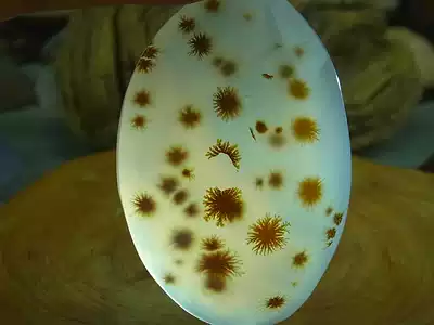 Boutique grass flower picture agate Madagascar agate picture stone Ocean chalcedony grass flower HFJ