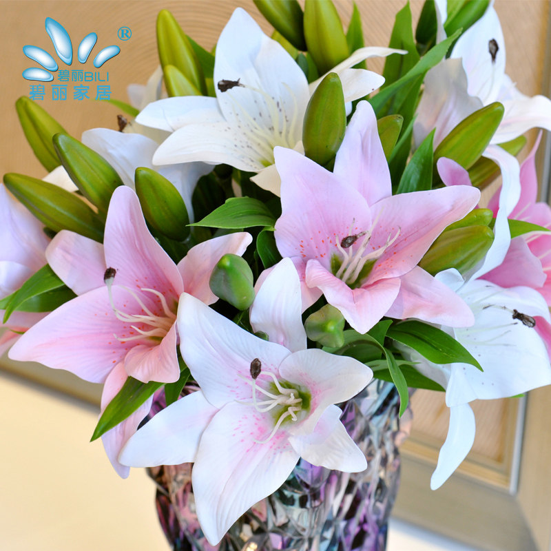 �����ٻ�����