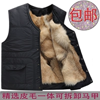 Đặc biệt hàng ngày mùa thu và mùa đông da len xuống vest nam trung niên lông một vest vest ấm cotton ao ghi le