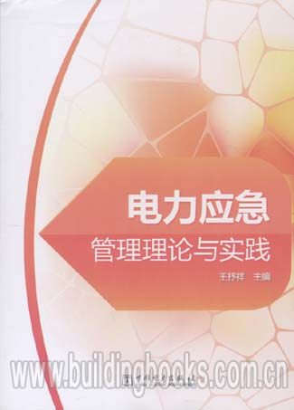 电力应急管理理论与实践