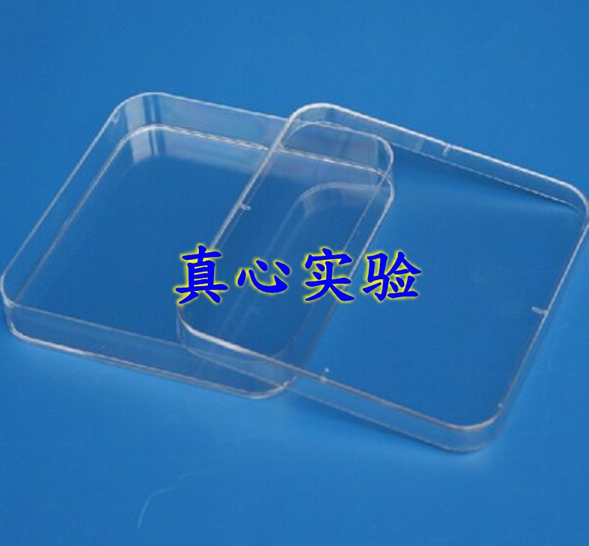 塑料培养皿 130*130mm方形培养皿 10个/包 已灭菌 无菌