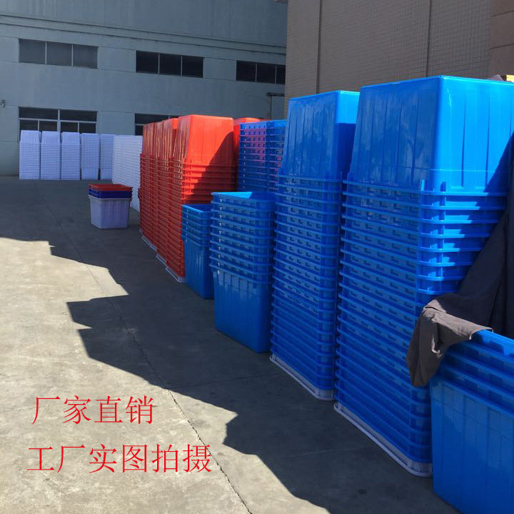 extra large plastic fish tank