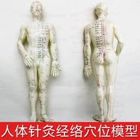 Y tế moxib phỏng con người mô hình huyệt đạo siêu mô hình massage rõ ràng phần cơ thể bộ xương nhỏ mô hình tĩnh mô hình xe cộ