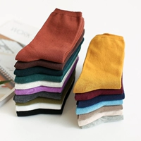 Vớ nữ bằng vải cotton mỏng mùa xuân và mùa thu mẫu trong vớ vớ màu kẹo vớ nữ vớ gió đại học vớ vớ phiên bản Hàn Quốc tất nữ cổ cao