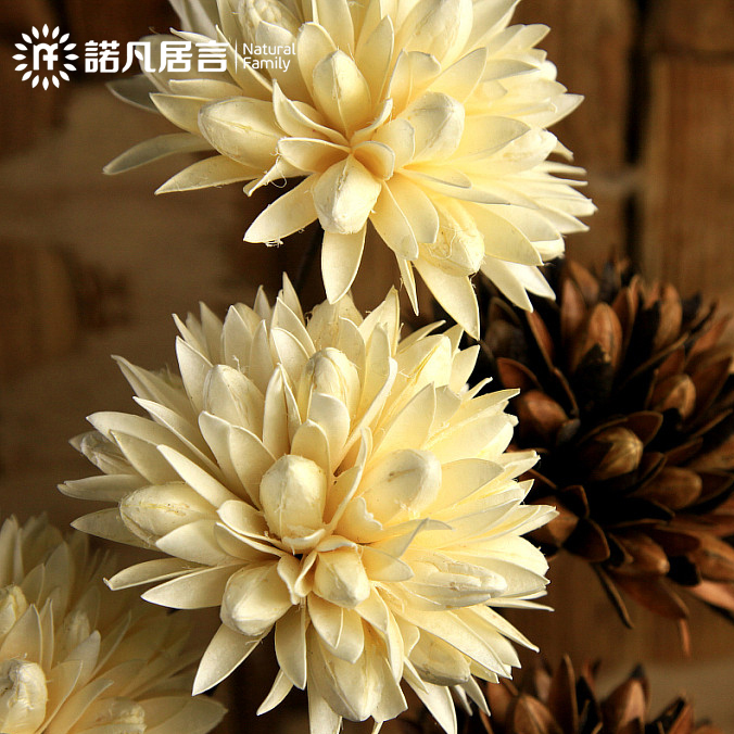 ŵ������ǧ������CH3