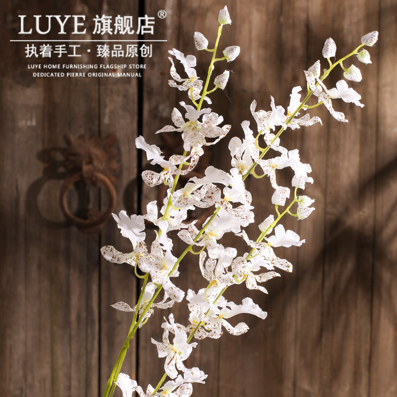 luye�߷��滨��������